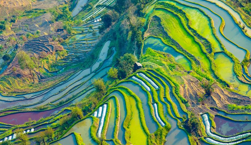 宝妈必备神器：临漳县产品视频拍摄轻松育儿好帮手