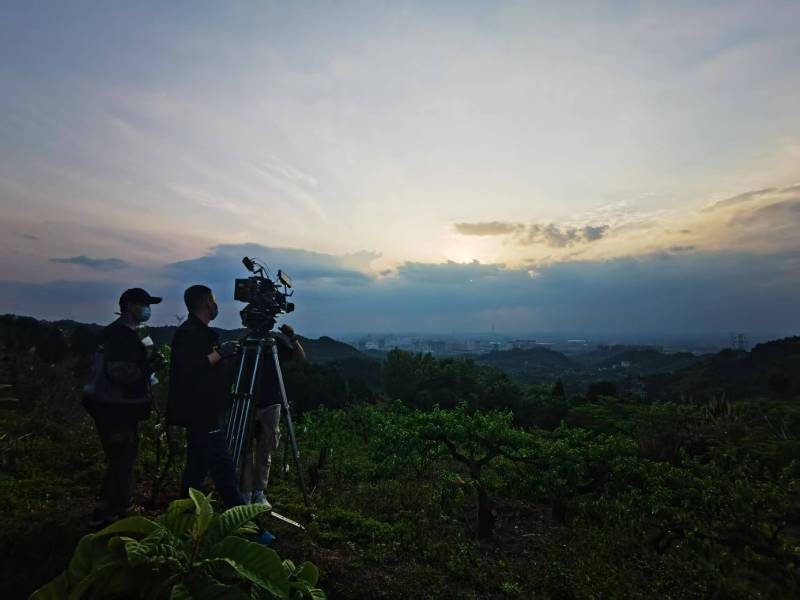 聚焦临漳县产品宣传视频拍摄公司，用专业实力铸就品牌传播传奇