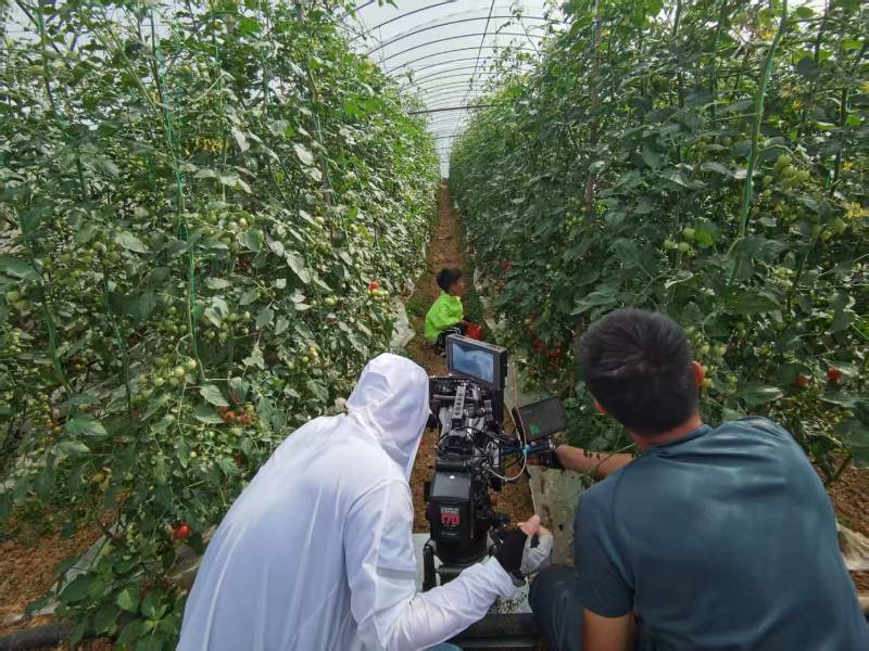 临漳县产品宣传视频拍摄公司进阶指南，助力品牌抢占传播高地